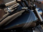 Harley-Davidson 2014: Dyna (FXDF)