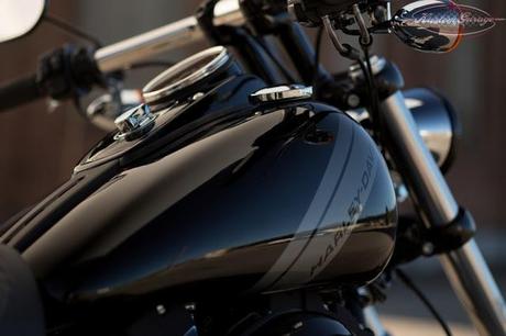 Harley-Davidson MY 2014: Dyna Fat Bob (FXDF)