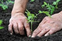 Le donne del Sud non sono solo Sole: fatte a mano