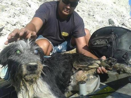 Cane cieco gettato nel fiume con le zampe legate: salvato da canoisti di passaggio Cane cieco gettato nel fiume con le zampe legate: salvato da canoisti di passaggio