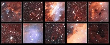 Questa raccolta di frammenti mostra i primi piani di alcune delle più strane e spettacolari strutture visibili nell'intrico luminoso di nubi di gas che formano l'enorme incubatrice stellare nota come Nebulosa Gambero. (Crediti: ESO. Acknowledgement: Martin Pugh)