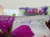 appetizer fiori ghiaccio