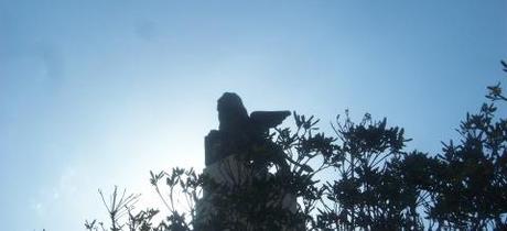 Fertilia Cdavidedenti