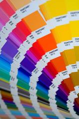 Pantone dai numeri alle Boutique