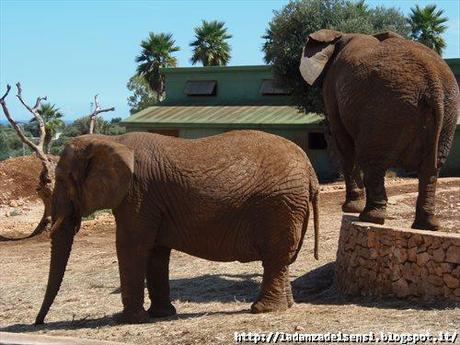 Week-end al mare....ZOO SAFARI di FASANO....II parte