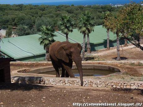 Week-end al mare....ZOO SAFARI di FASANO....II parte