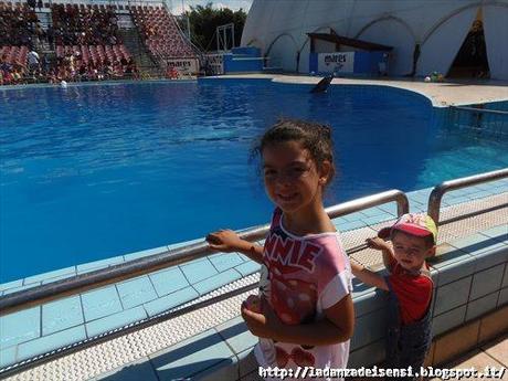 Week-end al mare....ZOO SAFARI di FASANO....II parte