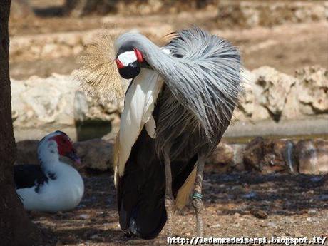 Week-end al mare....ZOO SAFARI di FASANO....II parte