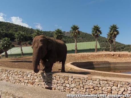 Week-end al mare....ZOO SAFARI di FASANO....II parte