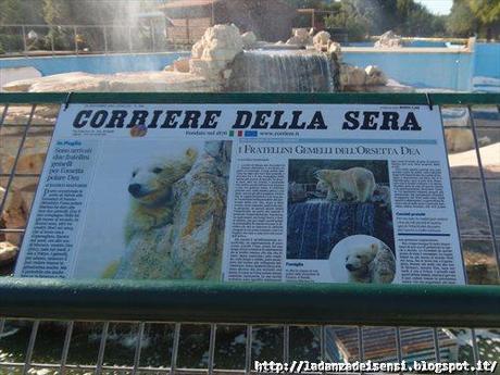 Week-end al mare....ZOO SAFARI di FASANO....II parte