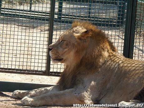 Week-end al mare....ZOO SAFARI di FASANO....II parte