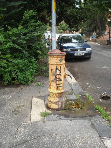 Giardino pubblico 'Guido Rossa' a Settecamini. Ecco il reportage sul degrado