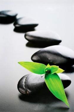 zen-stones-green.jpg