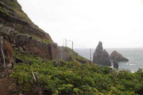 Vigna - Madeira, Portogallo