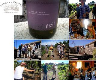 Tenuta di Fessina, wine tour and tasting: “a real-life!”