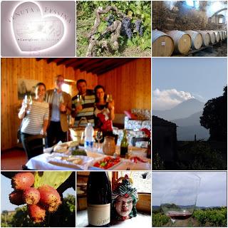 Tenuta di Fessina, wine tour and tasting: “a real-life!”