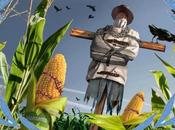 MONSANTO oltre anni avvelenando mondo