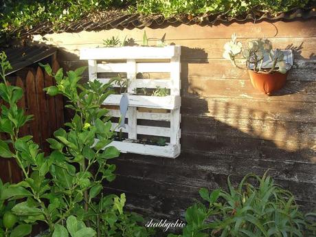 shabbychic, accade nel mio giardino