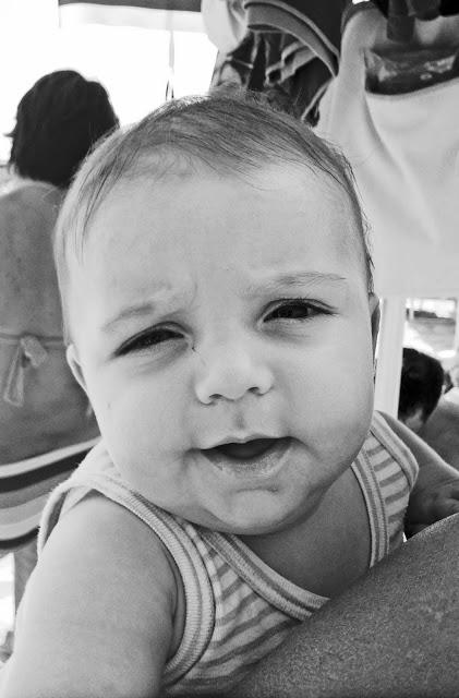 Ritratti marchigiani parte terza: Leonardo, Francesco, Filippo.