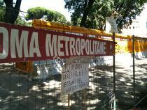 Cantiere Metro C a San Giovanni: perché tagliare alberi che potevano essere trapiantati? foto anna 5
