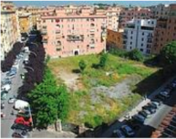 Cantiere Metro C a San Giovanni: perché tagliare alberi che potevano essere trapiantati? via cesena