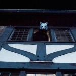 gallery film You're Next