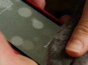 sensore impronte digitali dell’iPhone riconoscerà vostro gatto [Video]