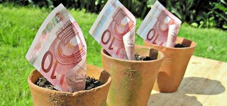 guadagnare col blog, euro, vaso, coltivare, soldi