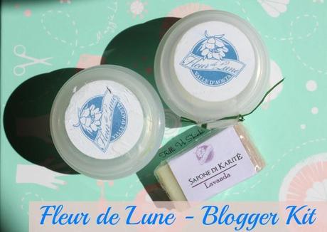 blogger kit fdl