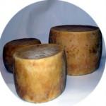 il pecorino abruzzese  damgas.altervista.org cuocoincucina