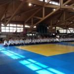 Aikido: mi fai stare bene! (Tendoryu Seminar Monaco2013)