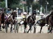 Ippica: domenica autunno, prima, annuncia nome “Seduttrice”