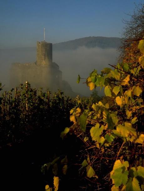 Rovine del castello di Landshut, Germania