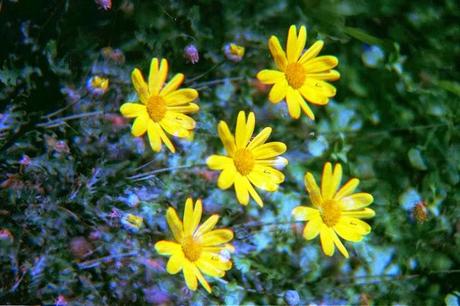 Colour my September // WEEK 3 // YELLOW