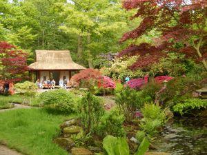 Il giardino giapponese