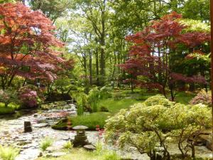 Japanese Garden