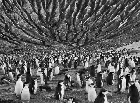 MOSTRA | La Genesi di Sebastião Salgado