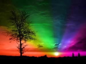 La vita è come un foglio bianco riemipito da tutti i colori dell'arcobaleno..