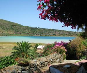 Pantelleria: terra di capperi e zibibbo