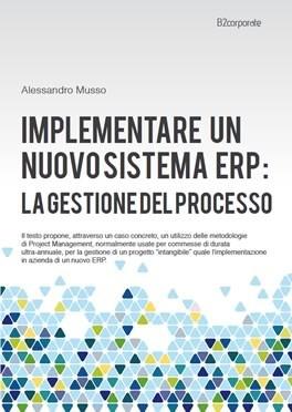 Big data e sistema erp: gestire il processo