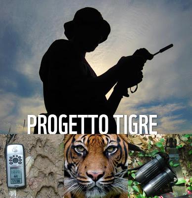 PROGETTO TIGRE- I felini chiedono aiuto