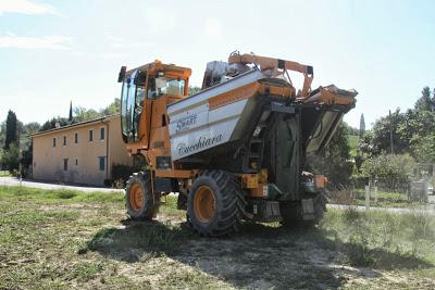 la vendemmiatrice a lavoro