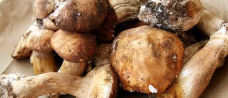 tagliatelle funghi porcini