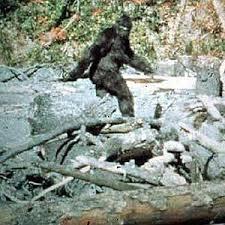 Volete trovare il Bigfoot? Ecco la mappa…