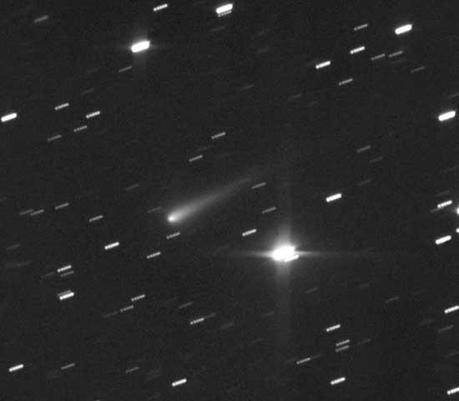 La cometa Ison a Natale vicinissima alla Terra