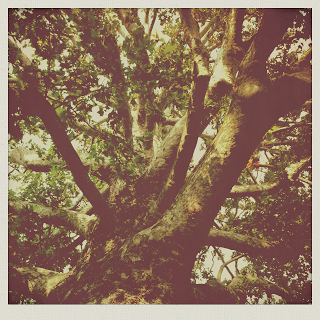 Villa Sommi Picenardi (LC)