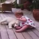 Bambina di 8 mesi gioca con cucciolo su veranda di casa (Video)