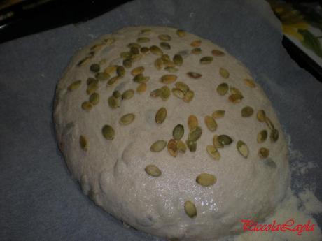 pane con i semi di zucca (5)