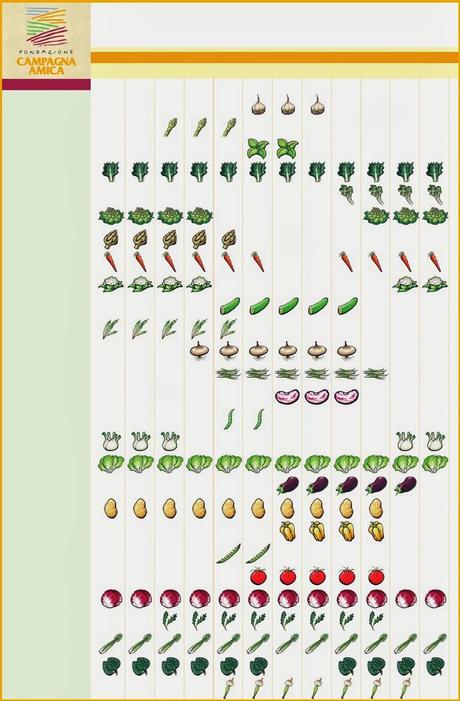 Il calendario della verdura di stagione!