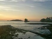 Pura Vida!